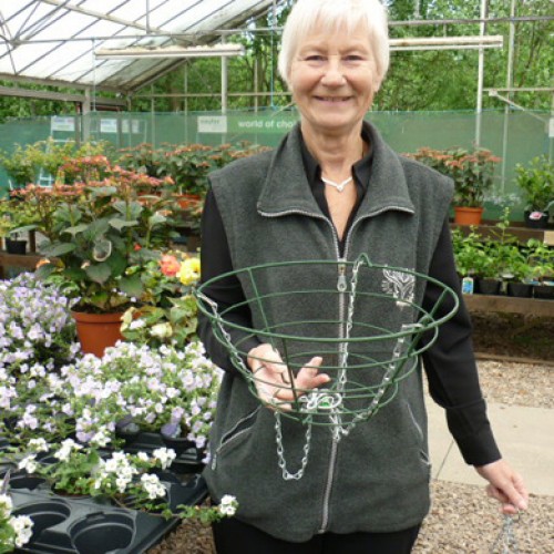 Wire  Hanging Baskets - 14 Inches | ScotPlants Direct